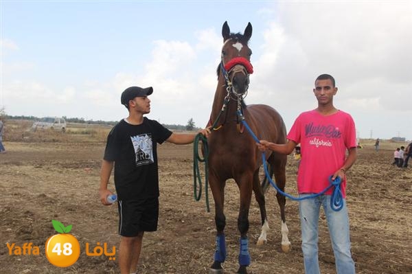 khoyoul lud 0610 (67).JPG